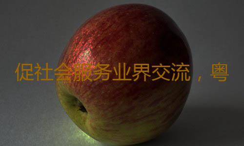 促社会服务业界交流,粤港澳大湾区社会服务公益伙伴学习营举办